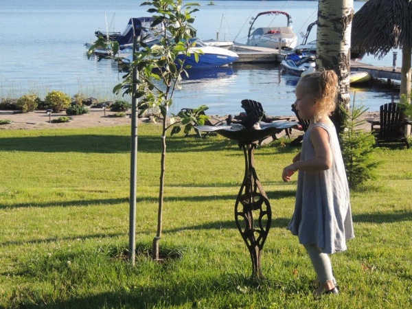 Les Chalets Baie Cascouia Nature & Expérience image 27